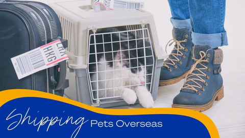 Pets Overseas 480x480
