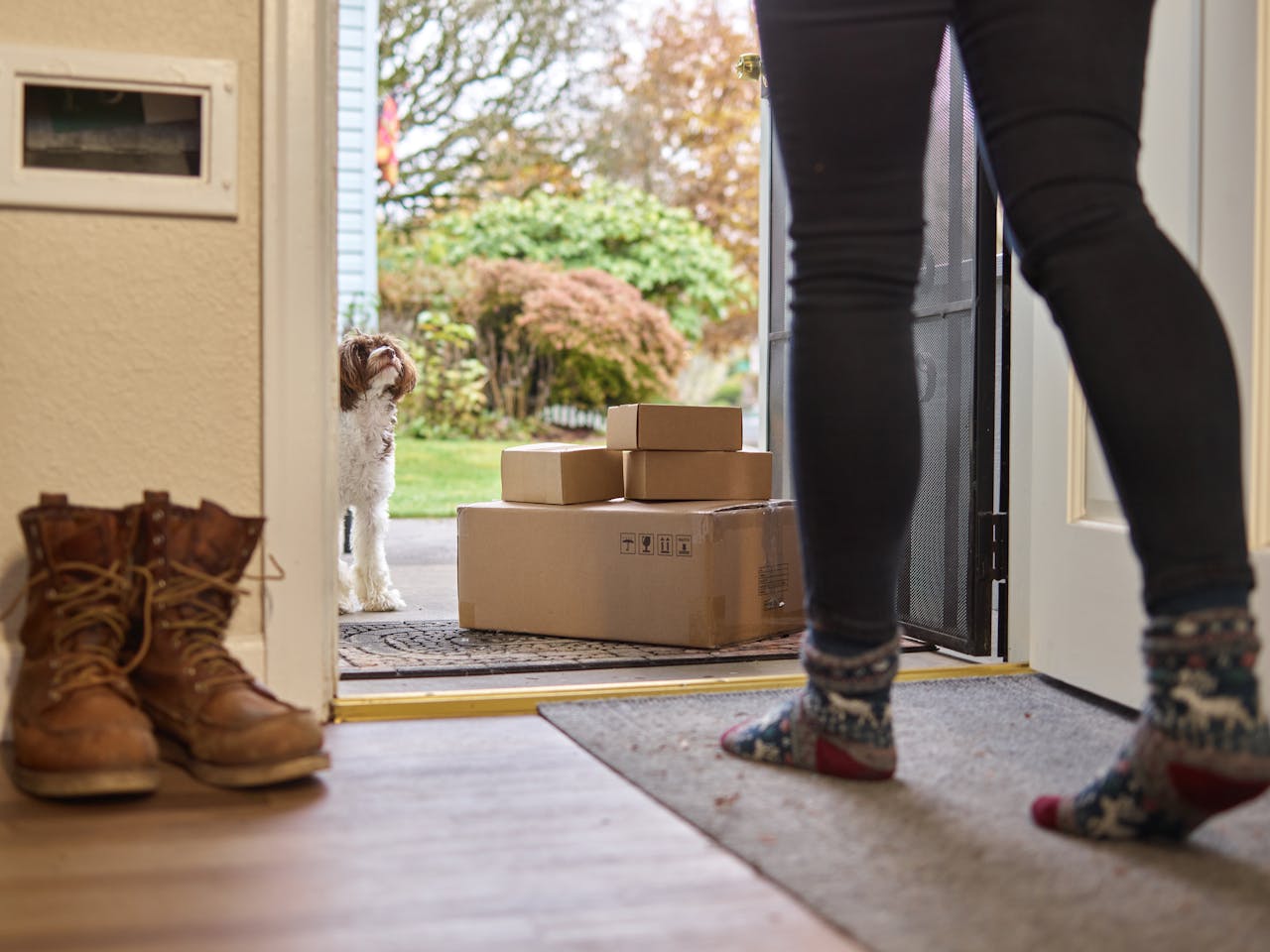 about-01 A woman opens the door to find delivery boxes with a curious dog outside.